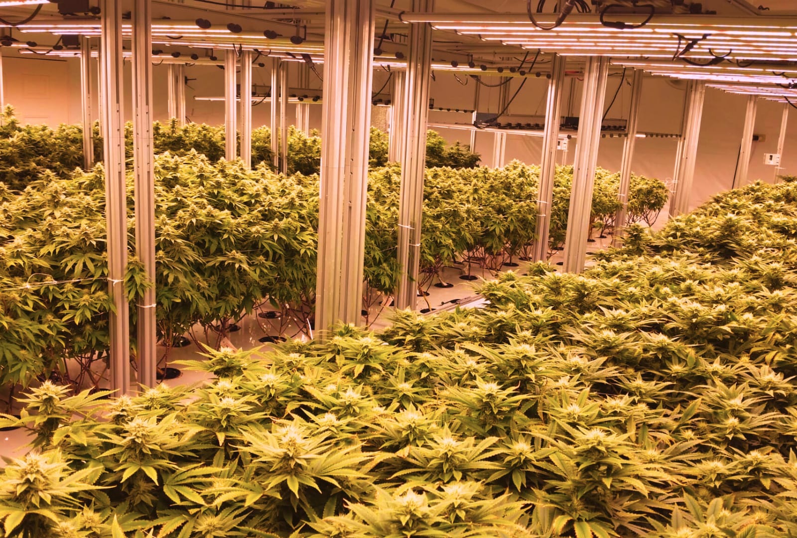 Lighting, climate and AXIS Control