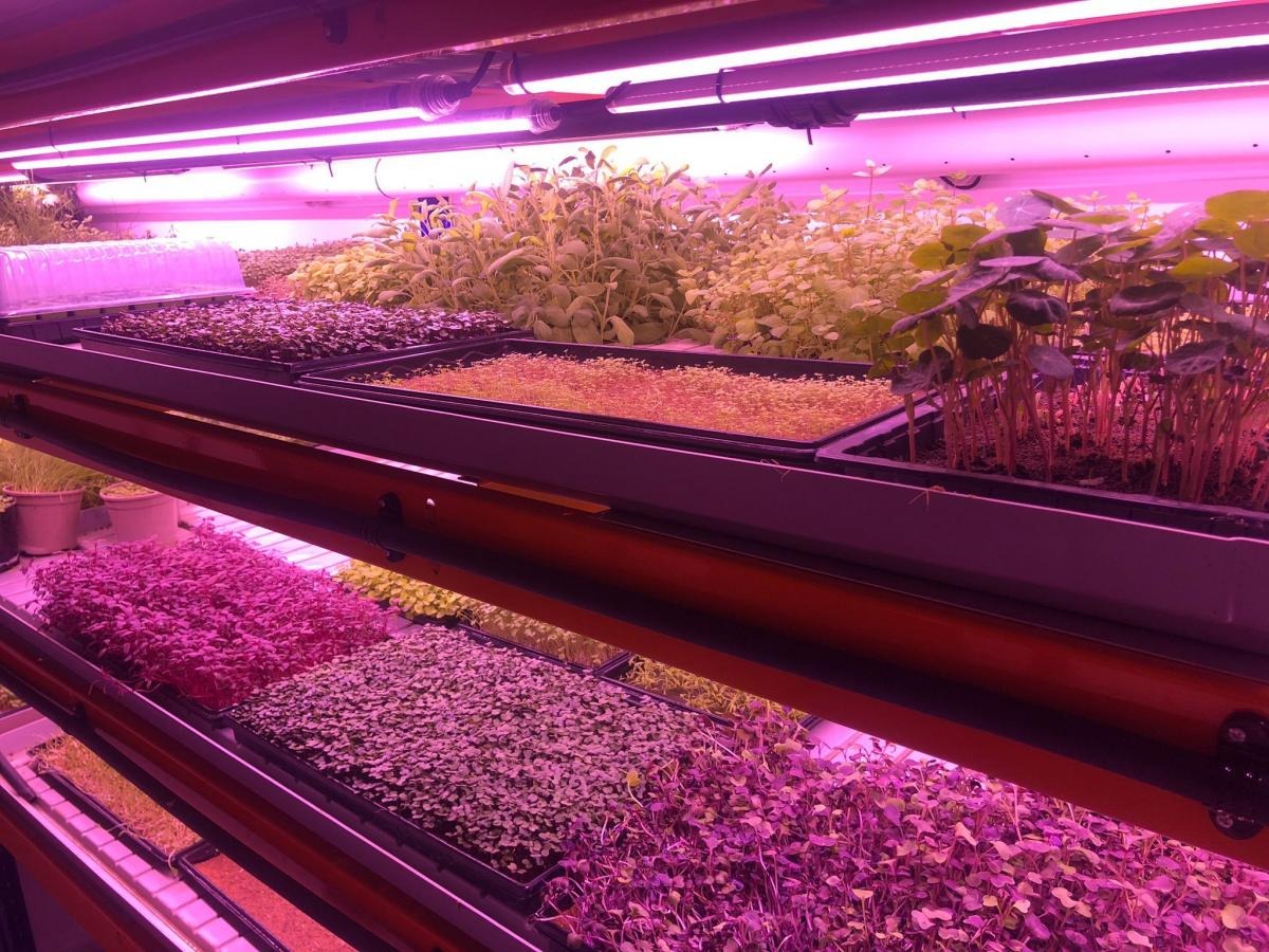 Smart farming 2